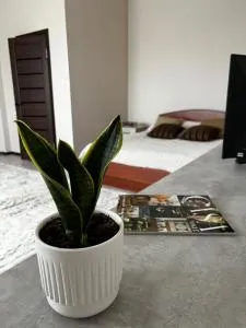 Meiman House close to Asia Mall - Privokzalʼnoye