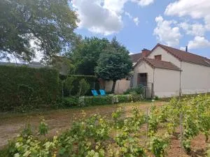 Gîte indépendant Diz'enreves au cœur des vignes - Champillon