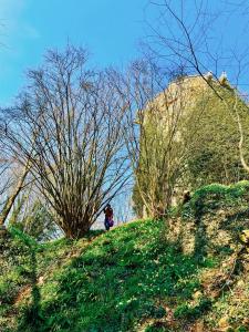 Gite nadège à  l Ombre d une Tour