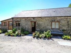 Golwg Las - Llansawel