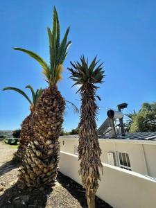 Living The Breede - Birdsong Cottage