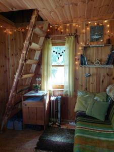 Saia Forest House