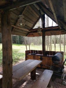 Saia Forest House