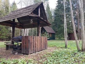 Saia Forest House