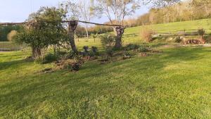 Maisons de vacances Le Parc aux Oiseaux : photos des chambres