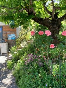 Appartements Le Petit Soleil : photos des chambres