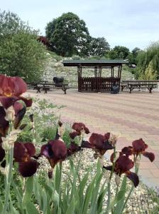 Rózsapark Panoráma-apartman - maximum 4 fő részére