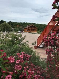 Rózsapark Panoráma-apartman - maximum 4 fő részére