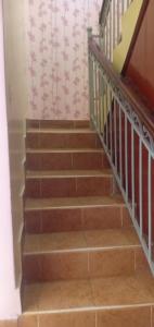 Tommys Lounge Apartments