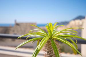 Apartament Altea Spaniahome