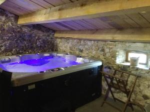 Maison charmante à Lanarce avec vue sur la montagne, jacuzzi.