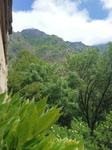 Sejours chez l'habitant Chambre ou gite dans une maison de montagne - De Suzon a Zelie : Chambre Double - Vue sur Montagne