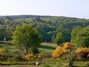 Les Chalets de La Vialette : Chalet