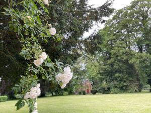 Maisons de vacances Domaine Des Loches **** : photos des chambres