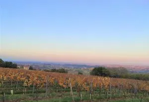 Appartement Bagnols - Les Meublés des Pierres Dorées - Jarnioux