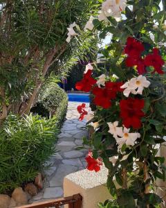 Eva Gardens corner house with stunning garden and huge swimming pool next to CORAL BAY