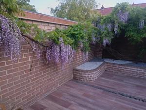 Appartements Studio Mer & Aa-terrasse-jardin-WIFI-parking-classe 3 etoiles : photos des chambres