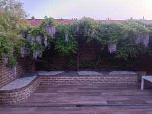 Appartements Studio Mer & Aa-terrasse-jardin-WIFI-parking-classe 3 etoiles : photos des chambres