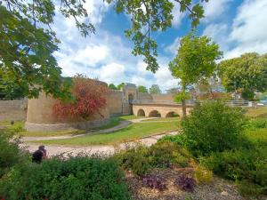 Appartements Studio Mer & Aa-terrasse-jardin-WIFI-parking-classe 3 etoiles : photos des chambres