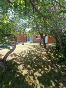 Appartements Studio Mer & Aa-terrasse-jardin-WIFI-parking-classe 3 etoiles : photos des chambres