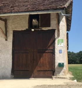 Maisons de vacances Gite de Jean-Benoit : photos des chambres