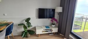 Apartament 33 przy latarni