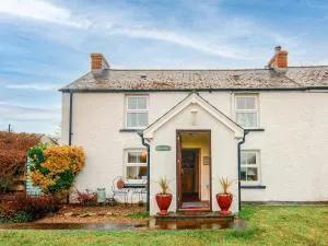 Bwthyn Gynon - Saint Nicholas