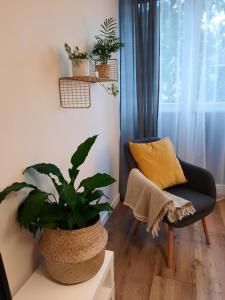 Apartament w centrum Wrocławia