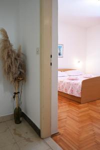 TikTok View - ZF Hvar