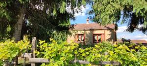 Ruralna kuća za odmor Pozojova hiža - Rural Holiday House