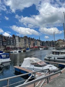 Appartements Le voilier. Honfleur T2 dans residence avec piscine : photos des chambres