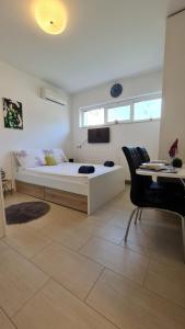 Apartmani Dami