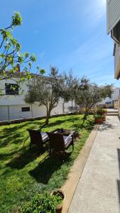 Apartmani Dami