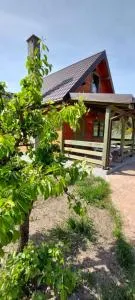 Siesta Country - Świebodzin