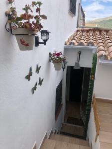 Casa rural Leo&Manu