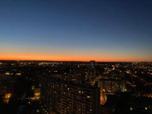 Rennes vue des Horizons