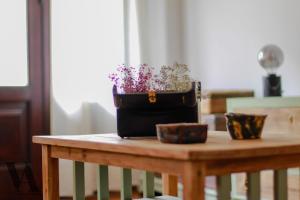 Voga Apartments Sta Catarina