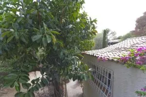 Villa Los Pinos - Foyes Blanques