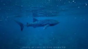 Sunrise by white sand dhigurah - Дангети