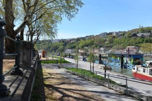 Appartements Studio sur Peniche, Le Cormoran, Bord De Saone A Lyon : photos des chambres