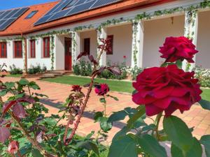 Becks Borveranda Palkonya