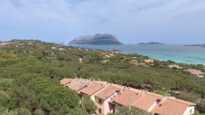 Appartamento Porto Istana