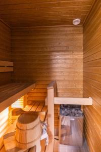 Arctic Starry City Suite