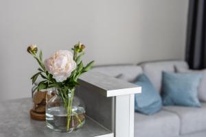 Arctic Starry City Suite