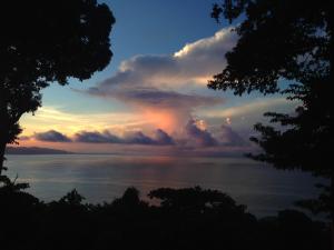Surfers´bohemian dream overlooking the point break