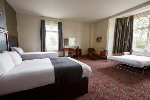 White Rabbit by Chef & Brewer Collection