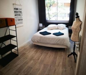 Appartements Le Sancy - Superbe T3 Clermont-Ferrand secteur gare : photos des chambres