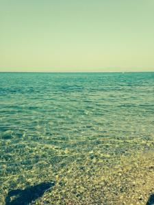 Beach next to the House Agni