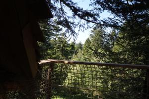 Chalets Cabanes des Volcans : photos des chambres