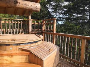 Chalets Cabanes des Volcans : photos des chambres